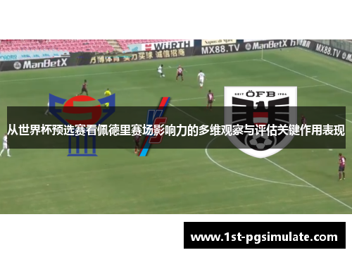 从世界杯预选赛看佩德里赛场影响力的多维观察与评估关键作用表现
