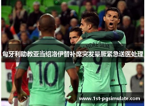 匈牙利助教亚当绍洛伊替补席突发晕厥紧急送医处理